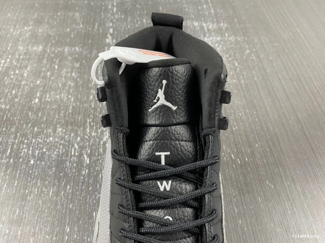 Grey 12 Black Air Wolf CT8013-019 Jordan 1123